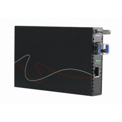 Gigabit fiber ethernet...